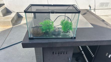 Terrarium