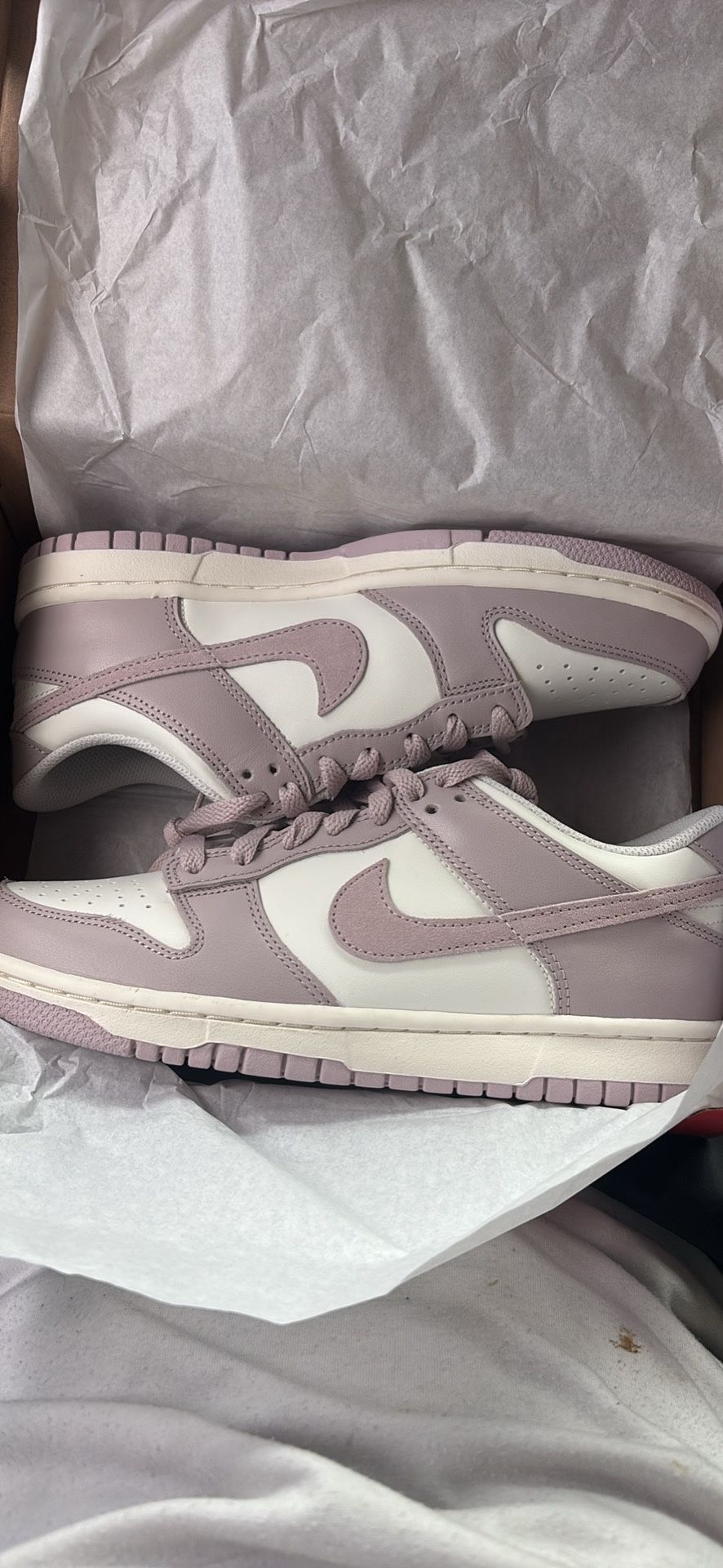 Brand New Dunks 