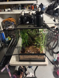 Terrarium for crested gecko
