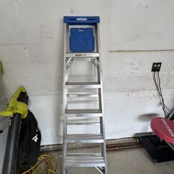Werner 6’ Ladder