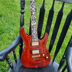 Schecter Vine Of Life Cs1 Electric Guitar