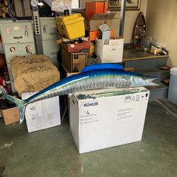 Barracuda