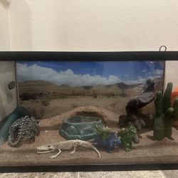 Reptile Vivarium 