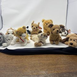 Lot of 10 Vtg TY Beanie Babies Assorted Dogs & Cats Excellant Cond