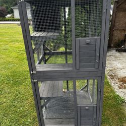 Outdoor Cat Cadio