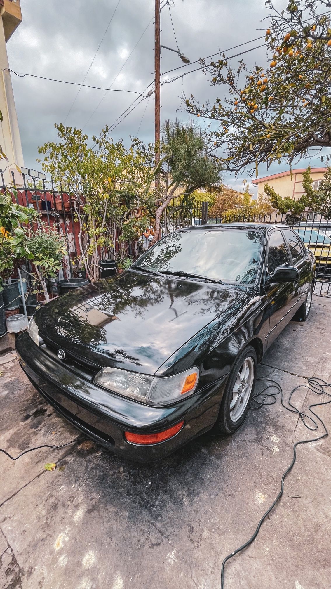 1993 Toyota Corolla