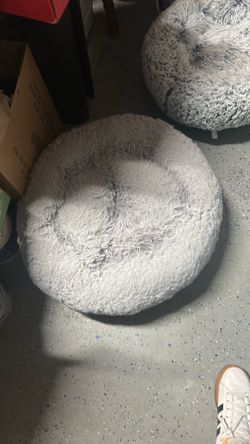 2 dog beds