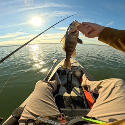 7’5” Heavy Baitcasting Fishing Rod Brand New 