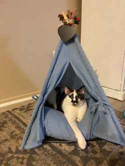 Liquidating Pet Bed Teepees - 24" w/cushion (275 remaining)