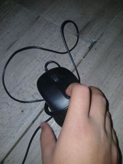 Mouse
