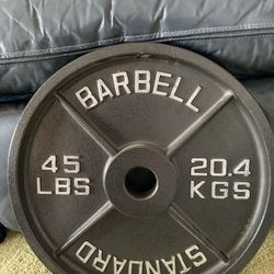 Barbell Olympic 45LB Plates (Plates Only)