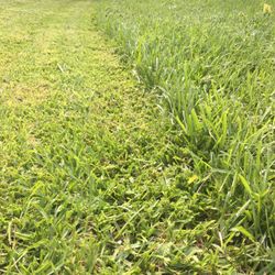 Lawn Crew Labor Needed West Broward