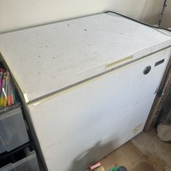 Garage Freezer