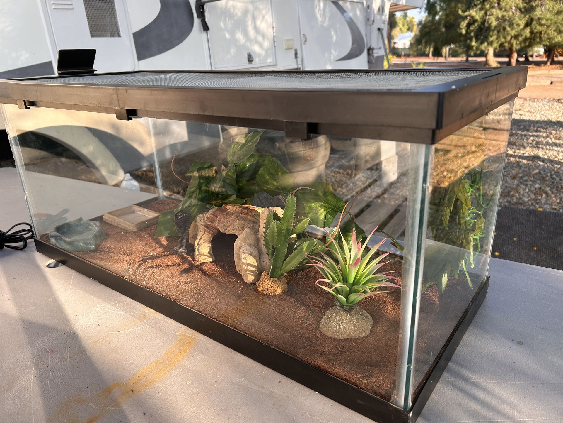Glass Reptile Terrarium