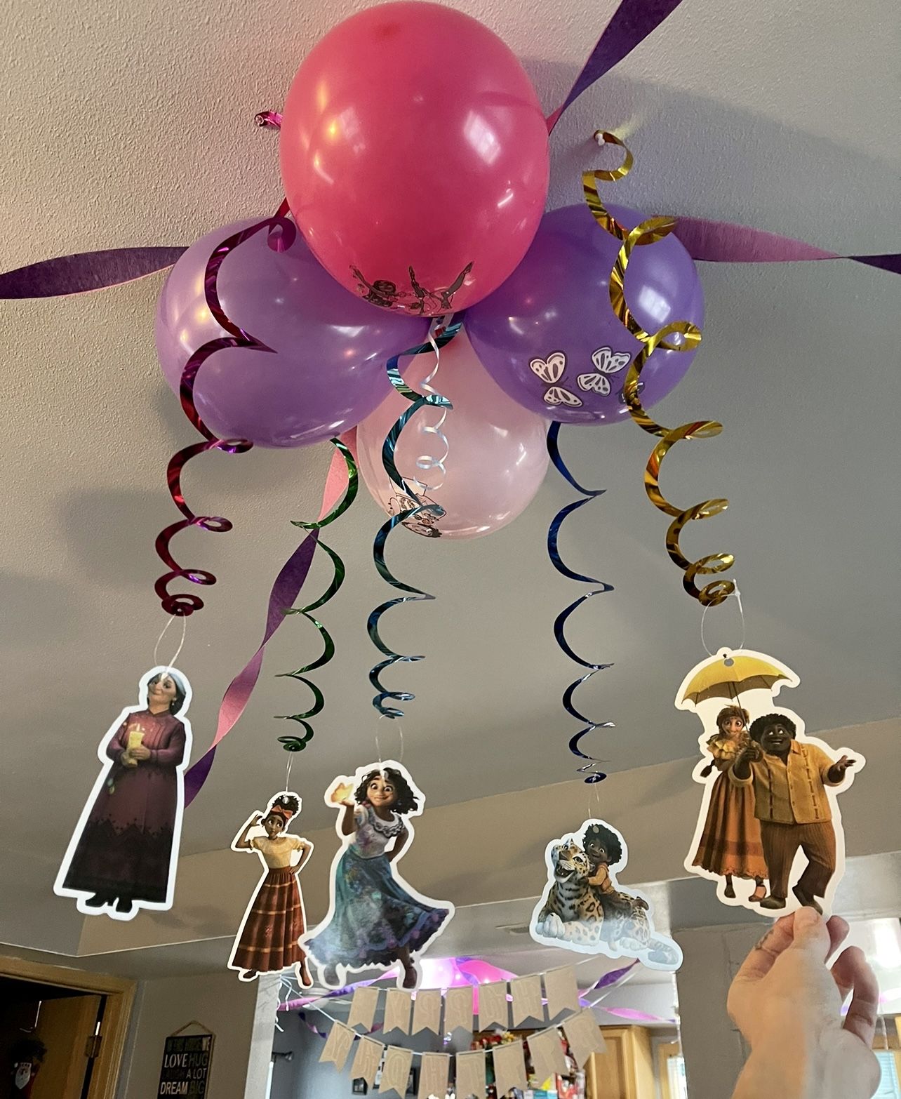 Encanto Party Hanging Decorations