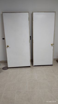 Steel doors with frame