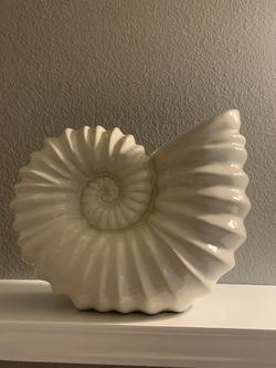 Large Shell Decor 
