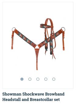 Matching Breast Collar, Headstall, Reins and Saddle Bags.