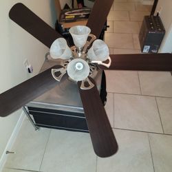 Ceiling Fan
