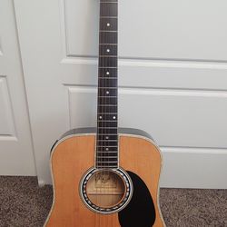 Acoustic Electric Guitar