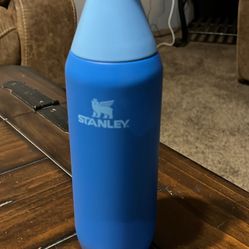 Slim 20 Oz Stanley Cup