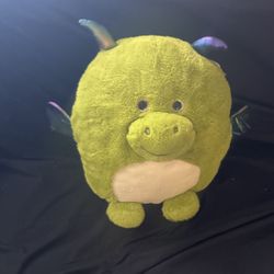 New Big Plushy Pillow