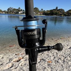 🐠 FFP Resolute 3000 Reel & Star Rods Ariel  30-80lb 5’6” 120-279g Jigging Rod 🔥 