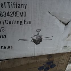 Ceiling Fans