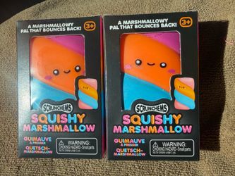 Scrunchems viral Squishes