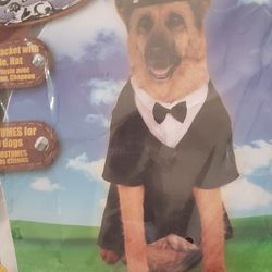 Big Costumes For Large Dogs