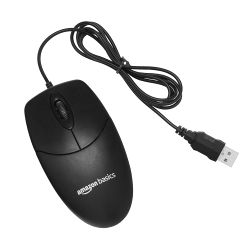 Mouse 12(t)