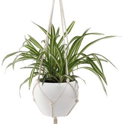 POTEYMacrame Plant Hanger - Indoor Outdoor Hanging Planter Basket Flower Pot Holder Cotton Rope 4 Legs Suitable for Pots Up to 6 Inches in Dia