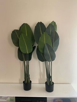 Fake plants