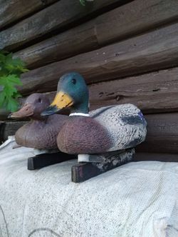 20 Decoy Ducks With Removable Weights