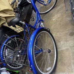 Beautiful Bike Tricycle