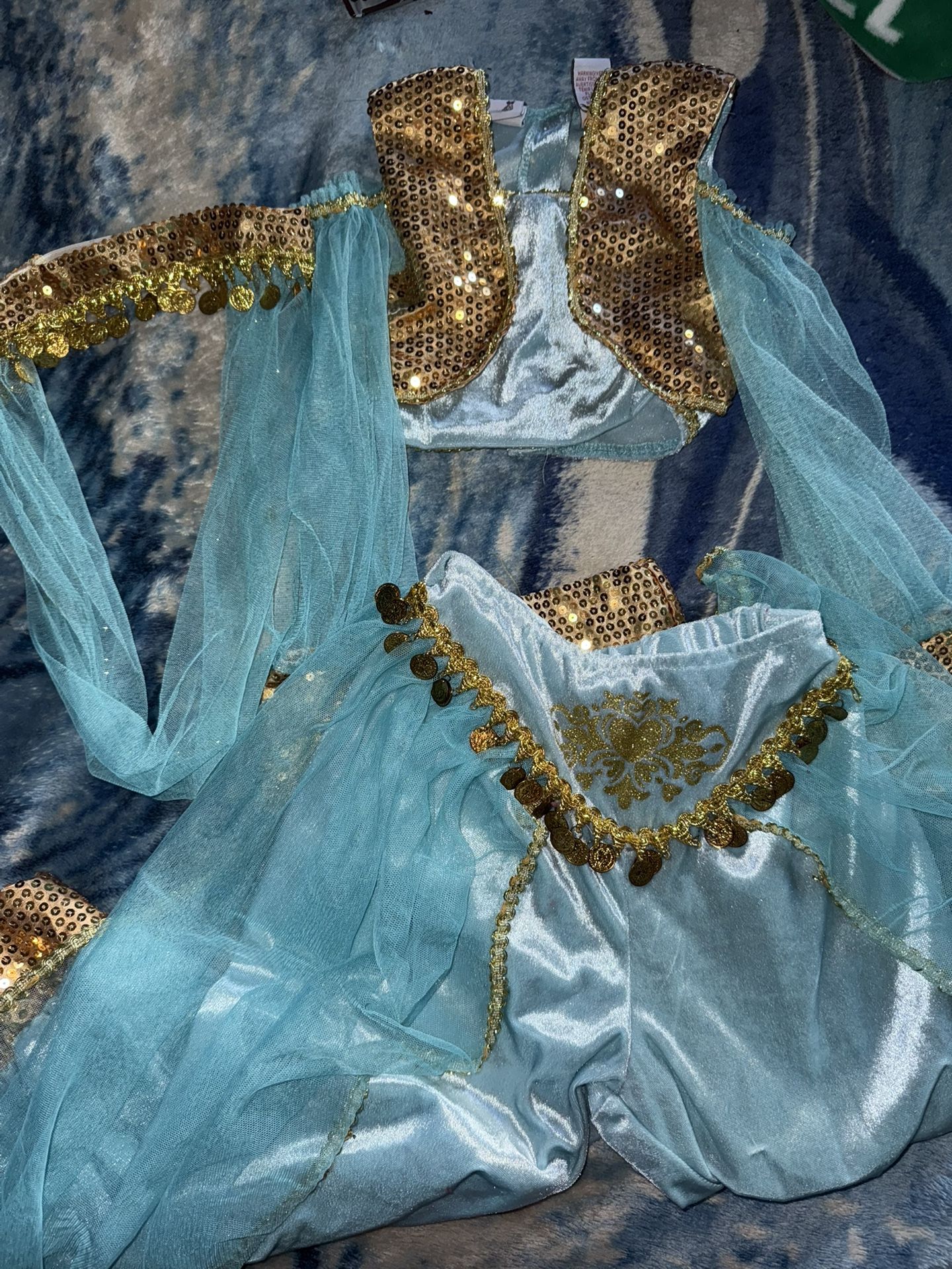Jasmine Costume
