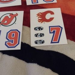 Hockey  Helmet Stickers Topps/1989.  Qty 21 Stickers.  Cash Porch Pickup Redmond 