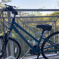 Windsor Rover 2.0 Bike And Bike Rack