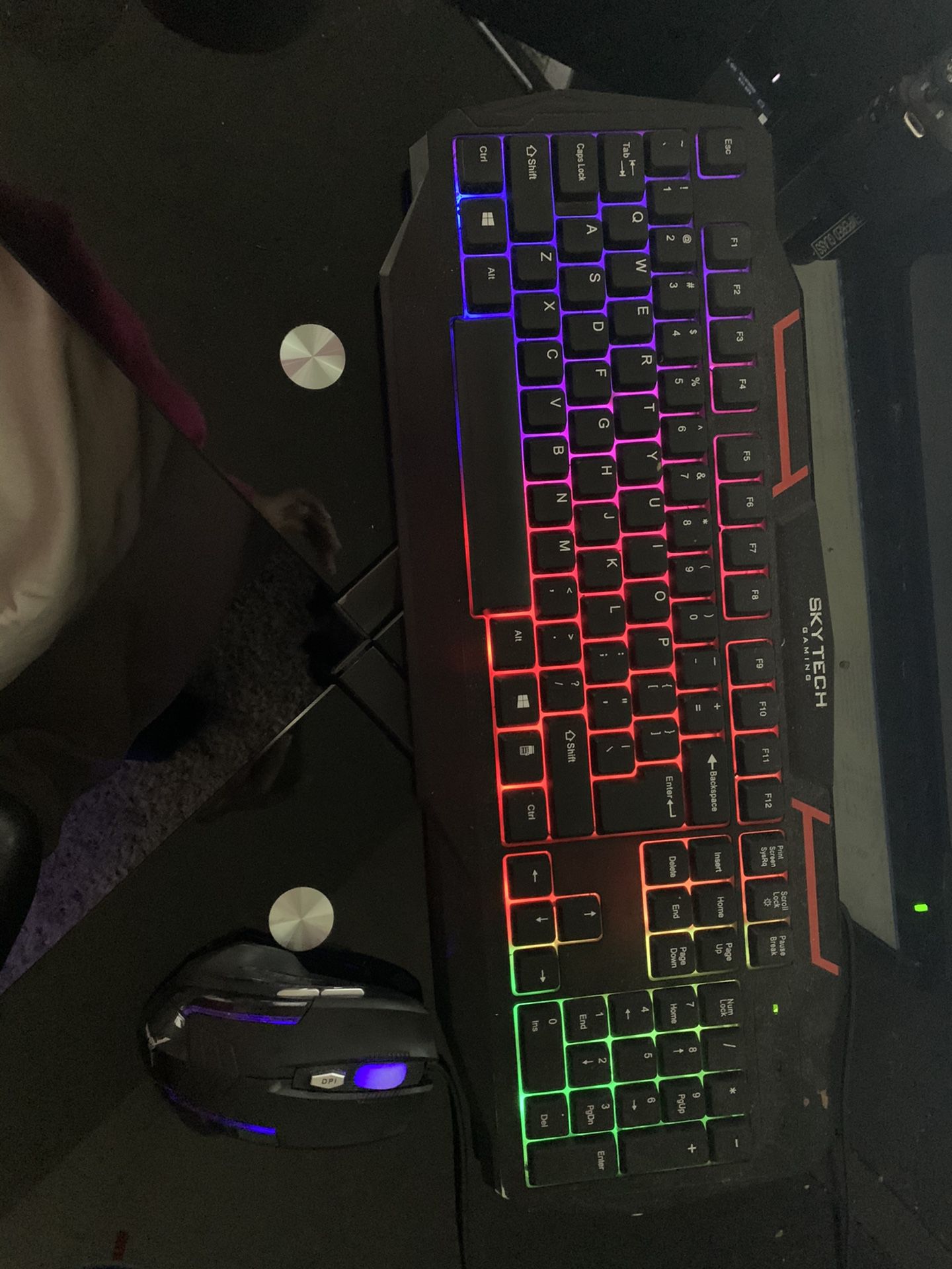 SkyTech rainbow led lights on keyboard and mouse