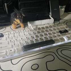 Selling a GMMK2 GLORIOUS Keyboard