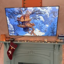 Toshiba 55" With Wall Mount 