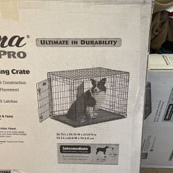 Dog Crate