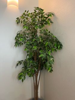 IKEA Weeping Fig FEJKA Plant