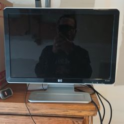 HP Hpw 1907 16in  Computer Monitor 