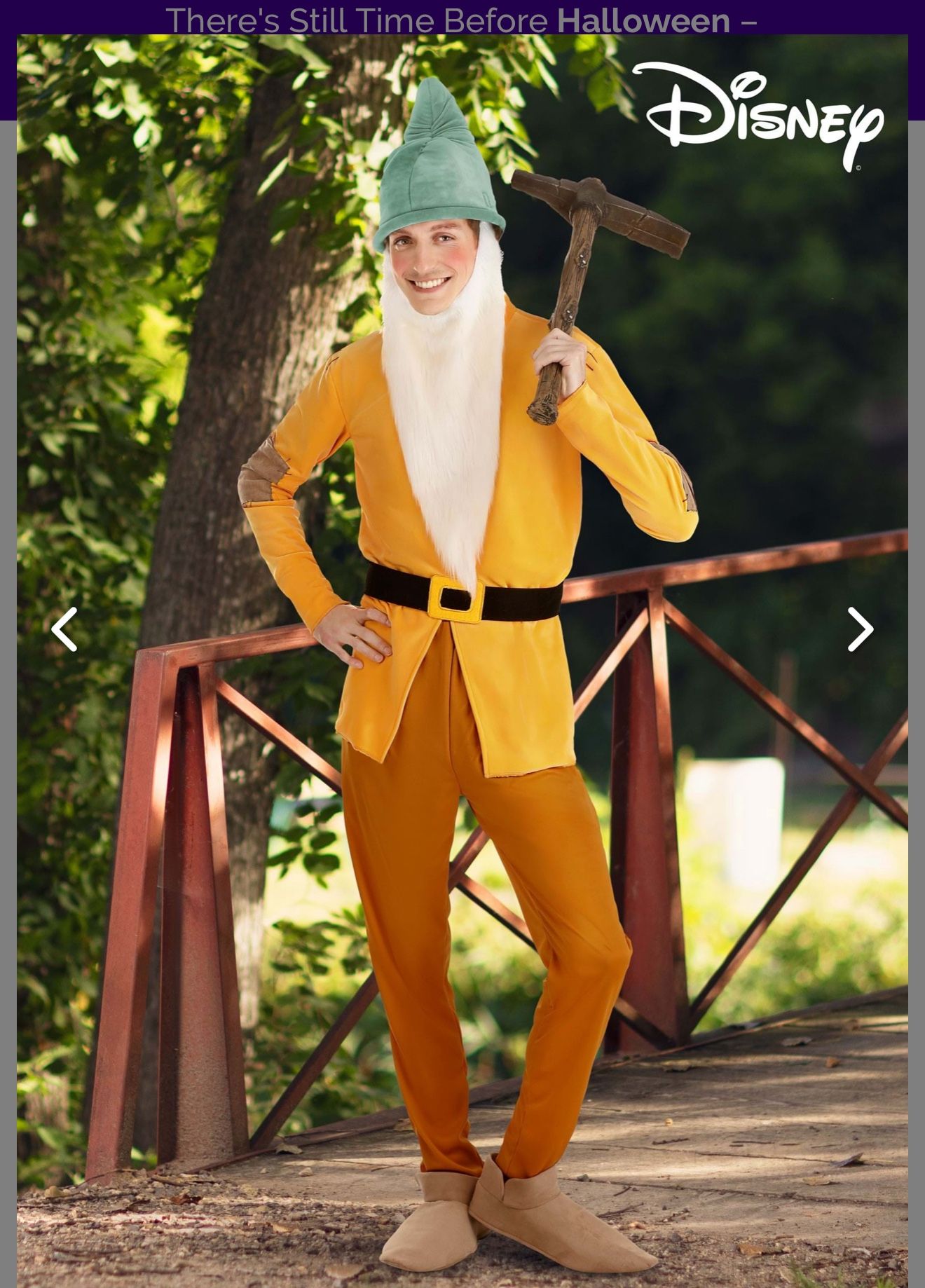 Bashful (7 Dwarfs) Men’s Costume