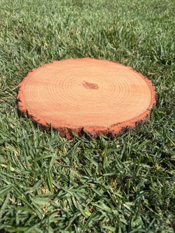 Pine wood slices (Cake base) 13-14 inches wide/ Wood stands different prices