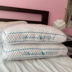 Brand New Pillows