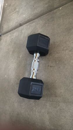 Two twenty pound dumbbells