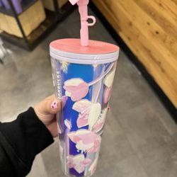 Starbucks Cups