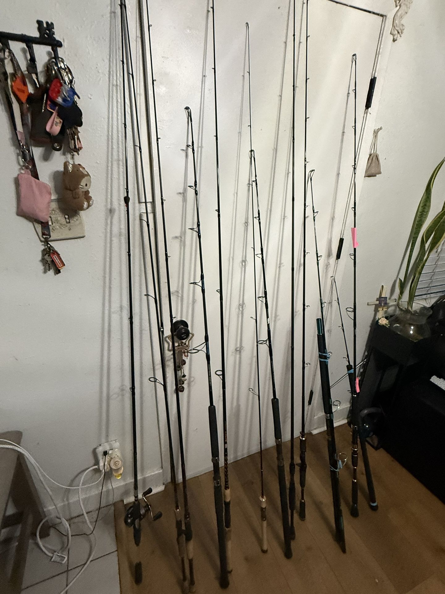 12 Fishing Rods